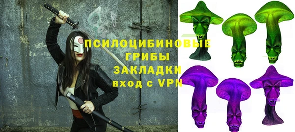 прущие грибы Покровск