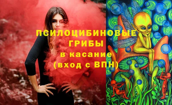 apvp Абаза